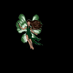 fly.gif